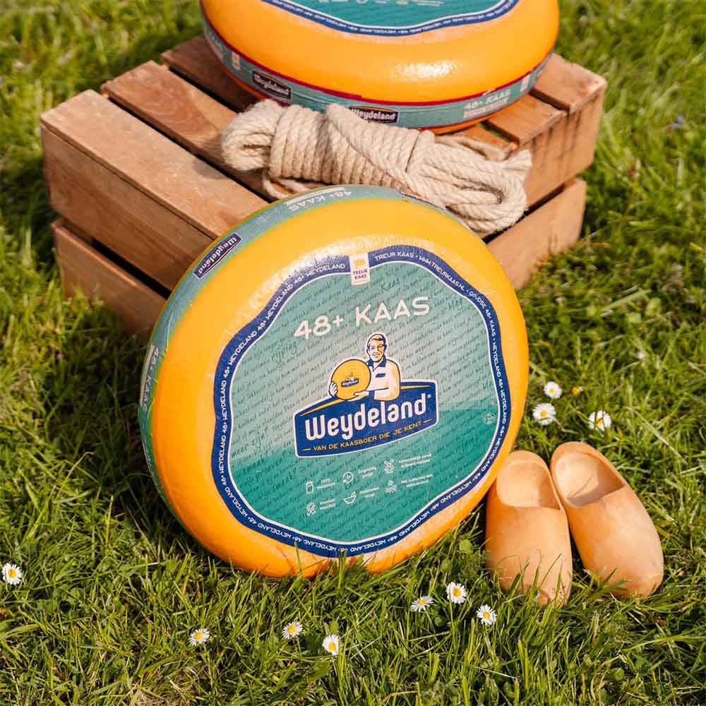 Lactosevrije kaas: welke kaas kun je eten bij lactose-intolerantie?