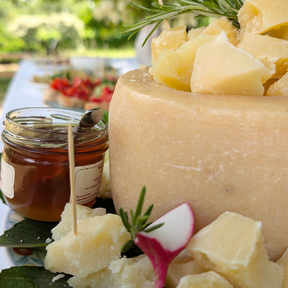 Blokken Parmezaanse kaas (Parmigiano Reggiano) | Kaas & Borrelz