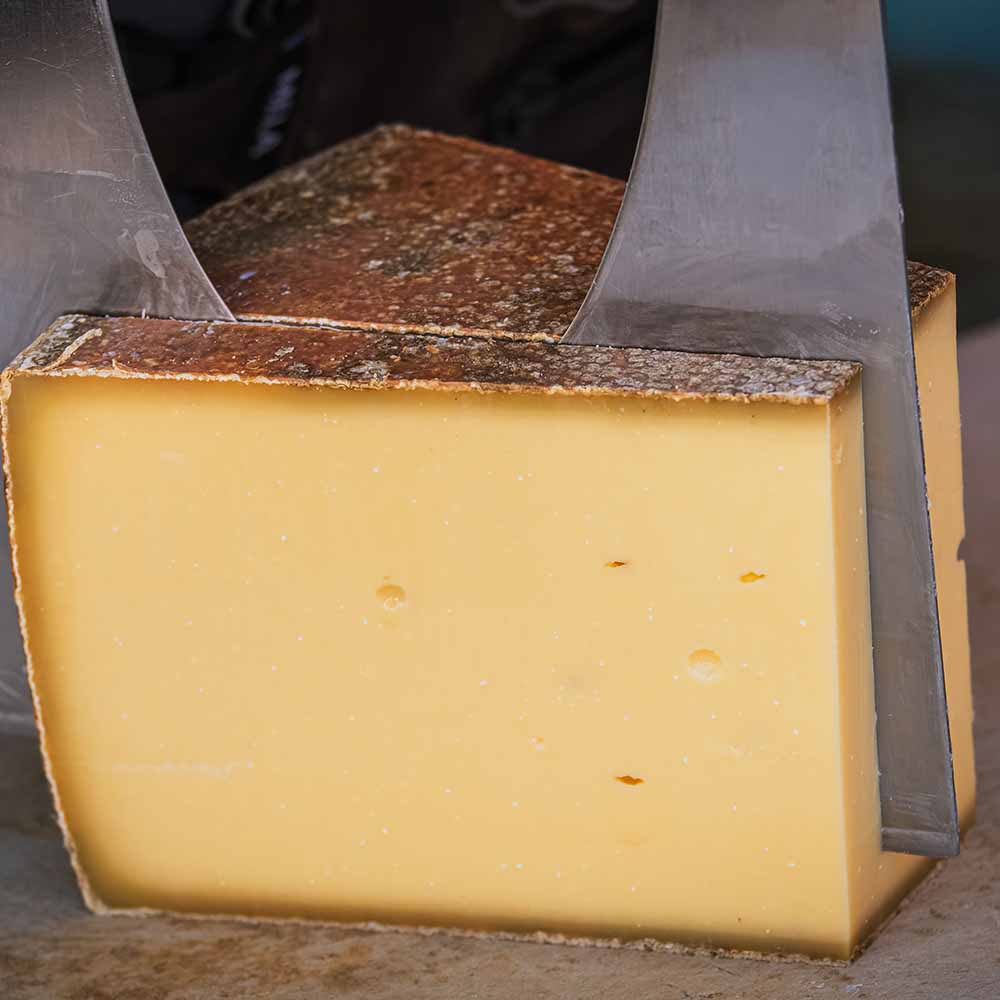 Mont Vélan Swiss mountain cheese