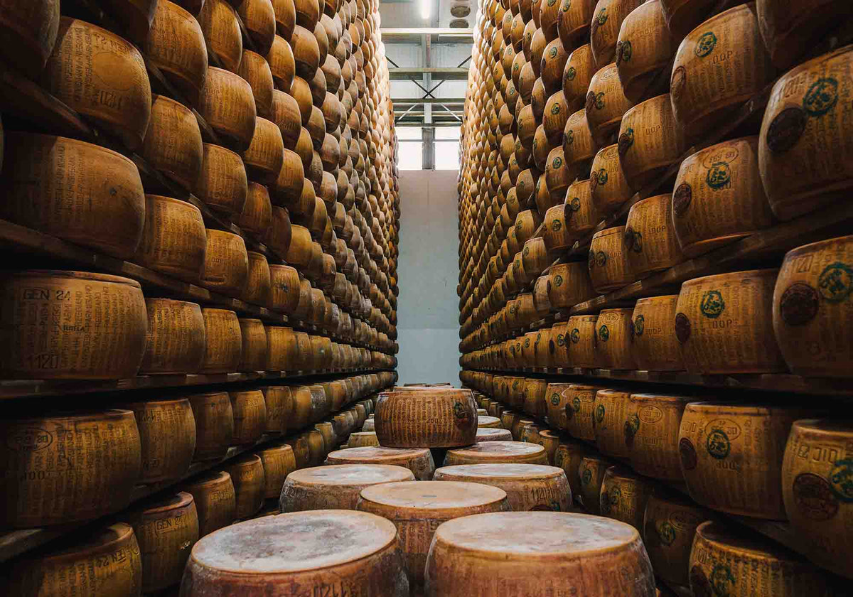 Wielen Parmigiano Reggiano rijpen in een kaaspakhuis | Kaas & Borrelz