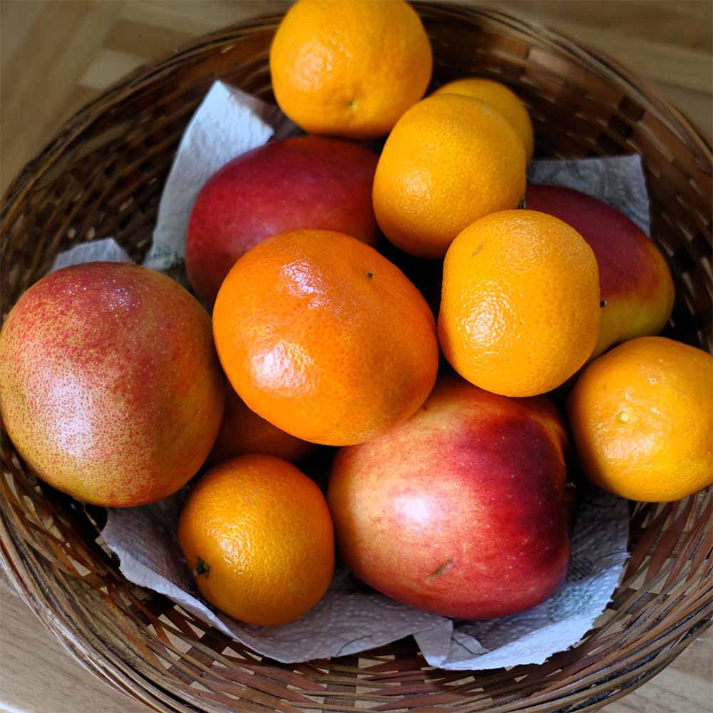 Vers geperst sinaasappelsap met appel – Appel-Sinaasappelsap 'S Lands Beste | Kaas & Borrelz