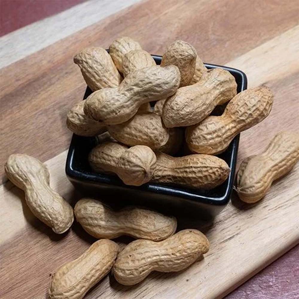 Pindas in dop – ongezouten pinda's in dop, knapperige borrelsnack | Kaas & Borrelz