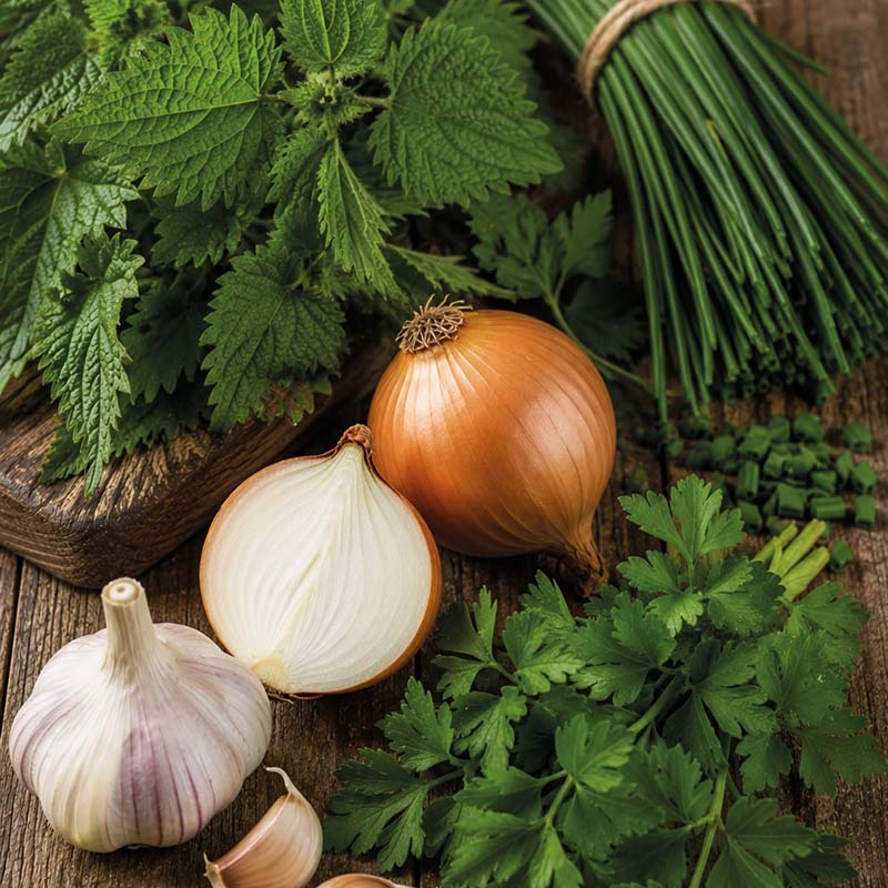 Villa Ortica brandnetelkaas – ingrediënten Villa Ortica brandnetelkaas | Kaas & Borrelz