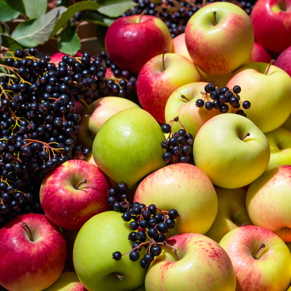 Appels en vlierbessen vers fruit | Kaas & Borrelz