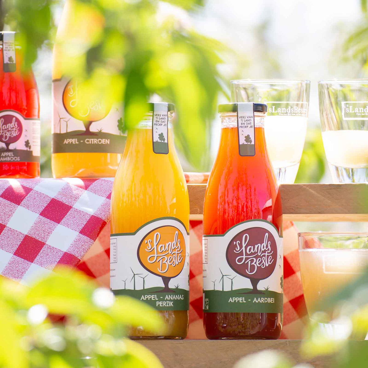 Fruitsappen van 'S Lands Beste bij een picknick | Kaas & Borrelz